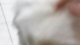 Cute cat (pussy) and dog... you want it? Hehehe