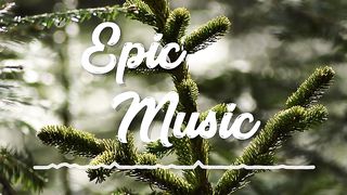 Cheerful Backsound   Roa - Ready for Summer