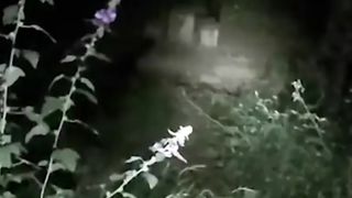 Scary video followed by a ghost