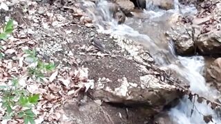 Beautiful nature 50