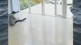 Very funny 49