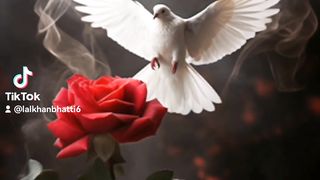My tiktok vedio 120
