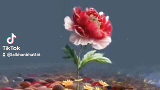 My tiktok vedio 133