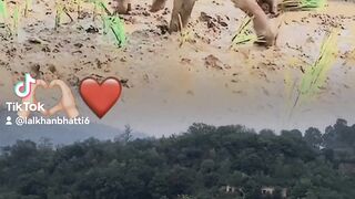 My tiktok vedio 134