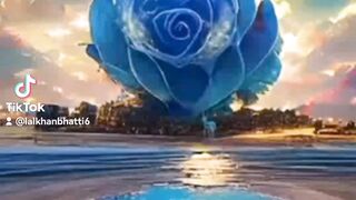 My tiktok vedio 141
