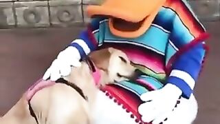 spoiled by donald