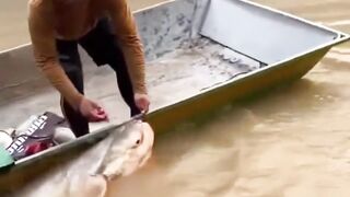 This giant fish managed to get on the boat