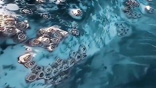 This whale is crying on the surface of the sea