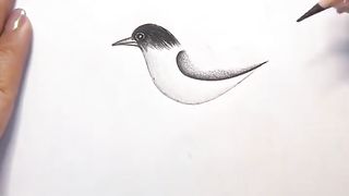 FACT A BOUT DRAWING #artist #pencil #school #class #books #teacher #subscribe #follow