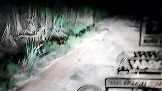 get lost in a forest that is very scary and haunted because of the map
