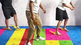 Funny video spot me bhai log 247