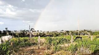 Rainbow over the river beautiful to see