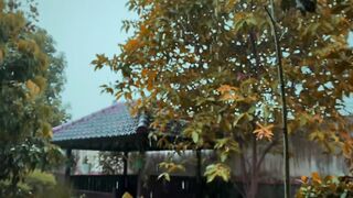 Aethetic video