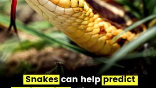 TOP 5 Interesting Facts You Might Know | Fun Facts