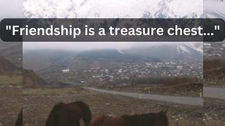 Friendship Interesting Facts | Friendship Facts.
