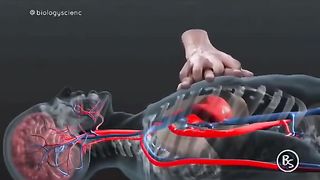 CPR video