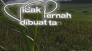 Mantap 3