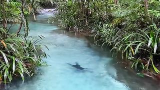 ????Kali Biru, Raja Ampat