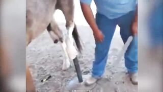 funny moments of the day 2