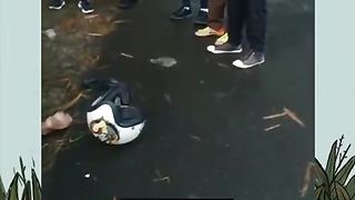 Yang ga kuat jangan nonton