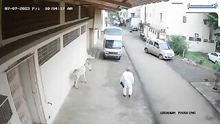 Jack attack to old man