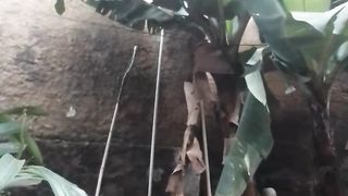 Deu errado