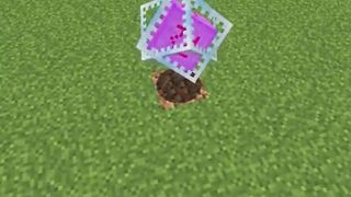 minecraft 9