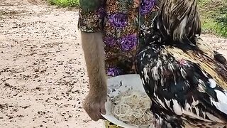 persahabatan yang mengharukan !!