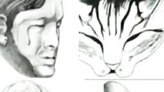 Amazing illusions