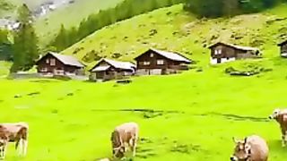 The cleanest and most beautiful country in the world swiss_low.