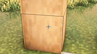 Minecraft House For my Dog????