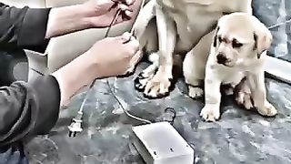 Maan Ki Muhabat Ka Andazaa Karain