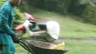 Berteduh di bawah sawit