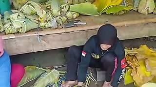 Proses pemilihan daun talas bahan baku rokok