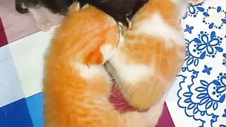 Cute???? 3