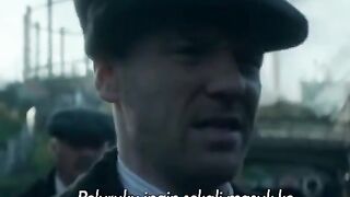 Film mr Shelby the best for you