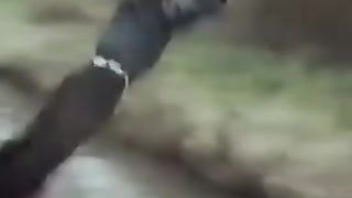 TikTokFunny