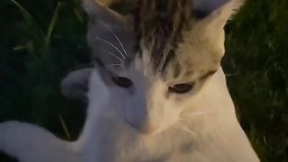 Tiktok 153