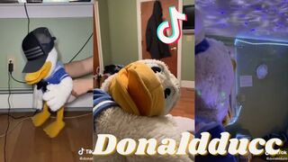 Funny Donald Ducc Tik Tok Videos Compilation | Part 3 | TikTok Compilation