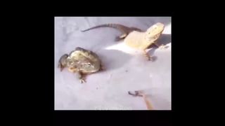 10 Minutes of Random Memes #5