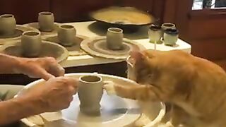 Gentle to help