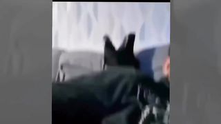 Funny Animals Club ????_ Funny Cats ???? and Dogs ???? Videos_ Funny Animals Videos 2023