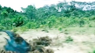 Land Shark ||Part 4