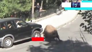 Compilation Des Moments Les Plus Drôles de l'année (2022) ???????????? #6