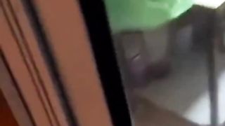 funny cat reaction - cat is afraid of mice
