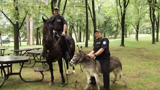 Top 10 Police Chase Pranks _ Just For Laughs Gags