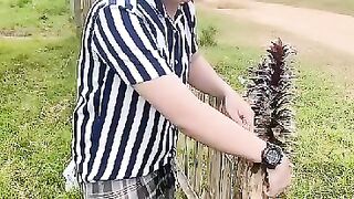 Buaya darat vs buaya sungai