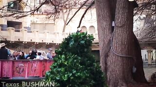 Ultimate Best of Bushman Prank Compilation 2023 3