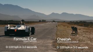 Drag Race: Formula E Car vs Cheetah 2