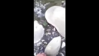 Random Memes Compilation 2